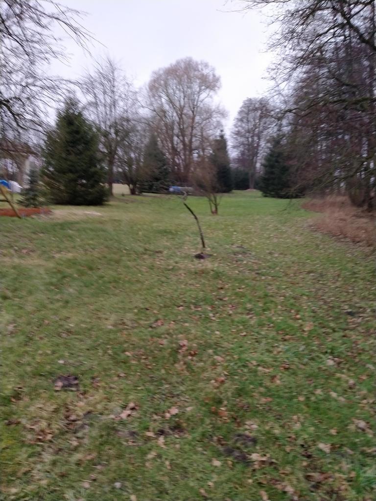 Rzędziny,2001m2,zabud. jednorodzinna,las-park.