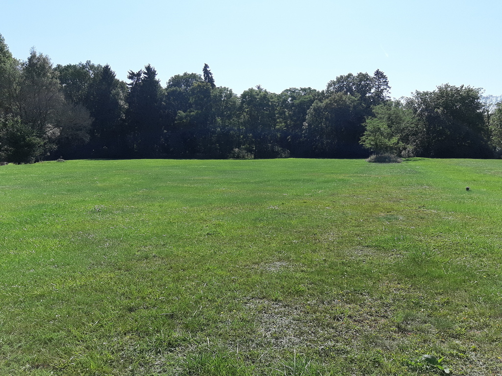 Rzędziny,2000m2,zabud. jednorodzinna,las-park.