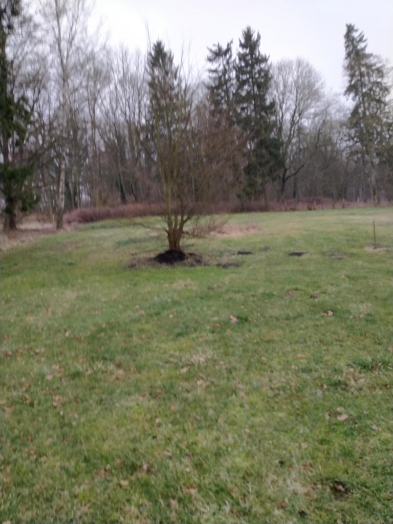 Rzędziny,2000m2,zabud. jednorodzinna,las-park.
