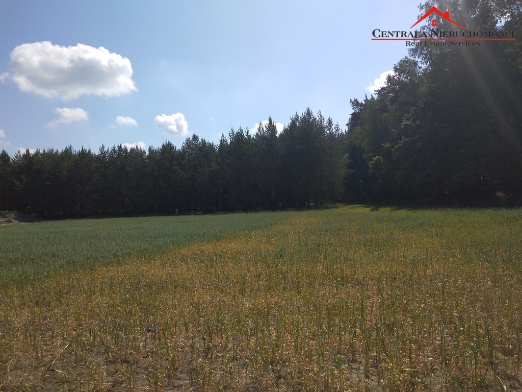 Duża działka  budowlana w Toporzysku