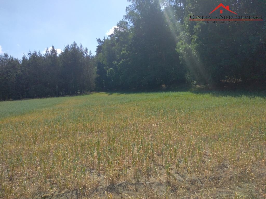 Duża działka  budowlana w Toporzysku