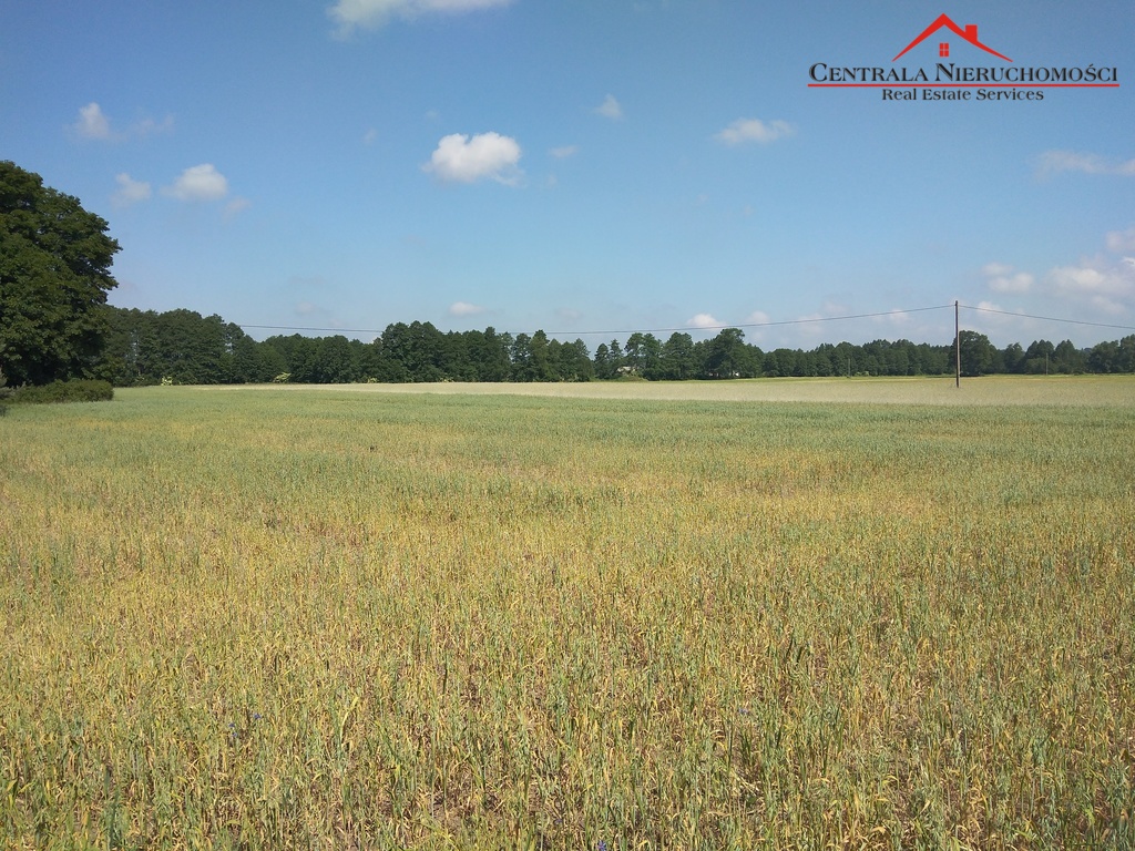 Duża działka  budowlana w Toporzysku