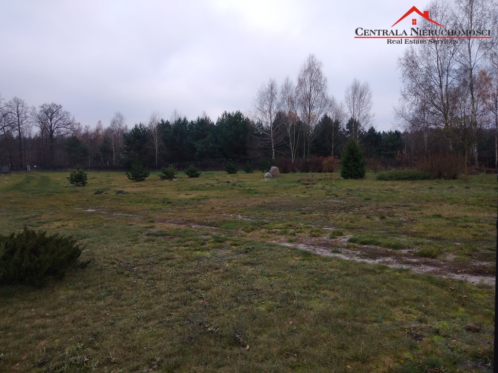 Działka w Cegielniku
