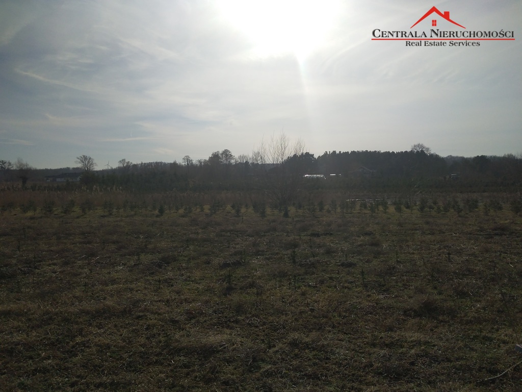 Działka w Cegielniku