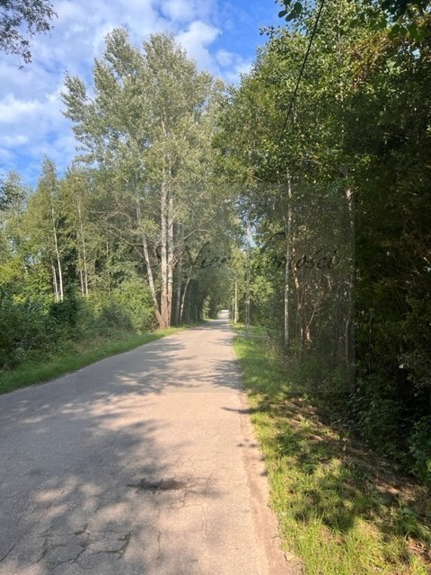 działka nad Bugiem - plaża Cupel