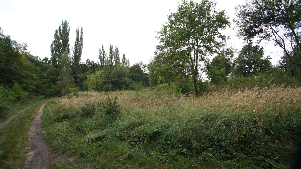 Działka o pow. 768 m2 Inwestycja 12 lokali mieszk.