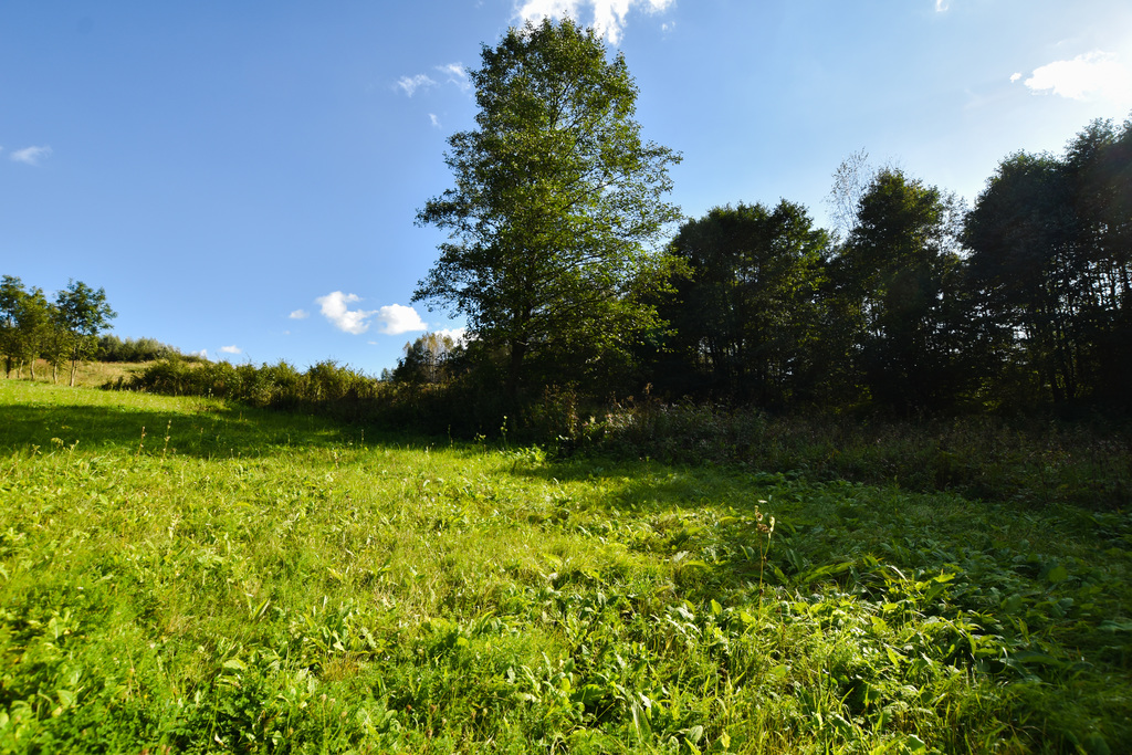 Działka w Błędowej Tyczyńskiej