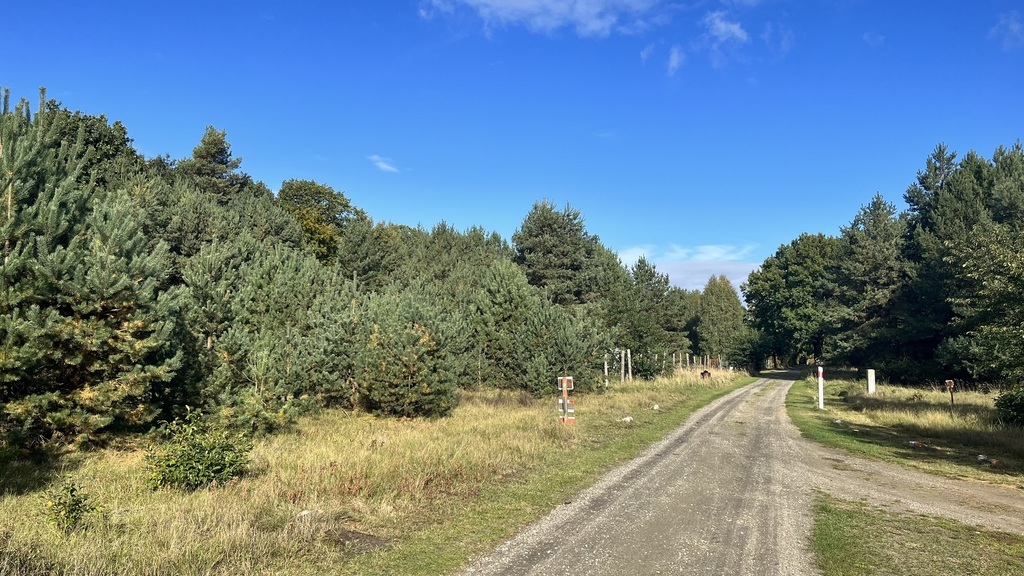 Działka w otulinie Puszczy Wkrzańskiej