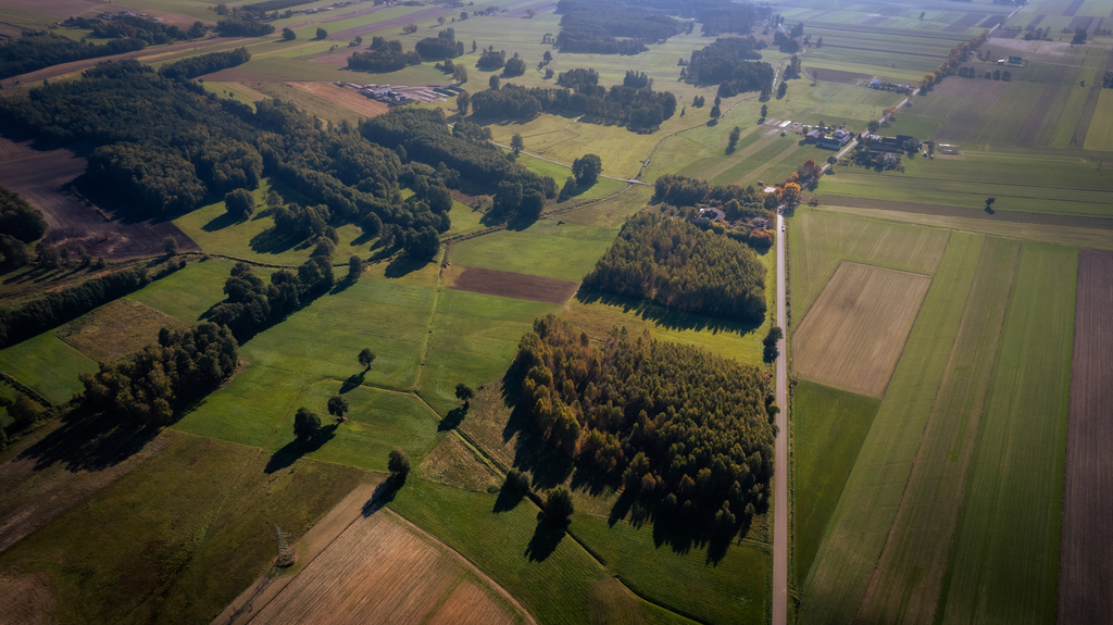 Folwark nad rzeką Miazgą