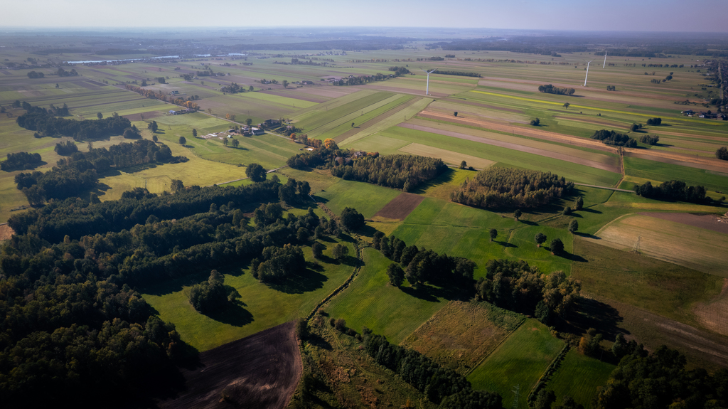Folwark nad rzeką Miazgą