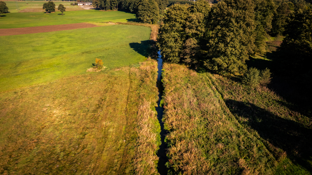 Folwark nad rzeką Miazgą