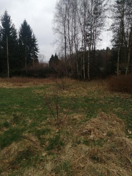 Działka 1100 m2,Stawno,pod lasem