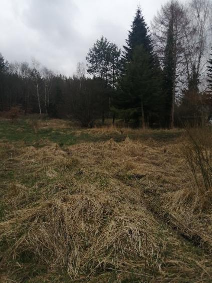 Działka1099m2,Stawno,gm.Goleniów,pod lasem.