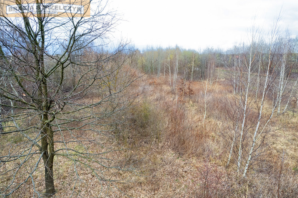 Ursynów - rejon Dawidowskiej, dwie działki