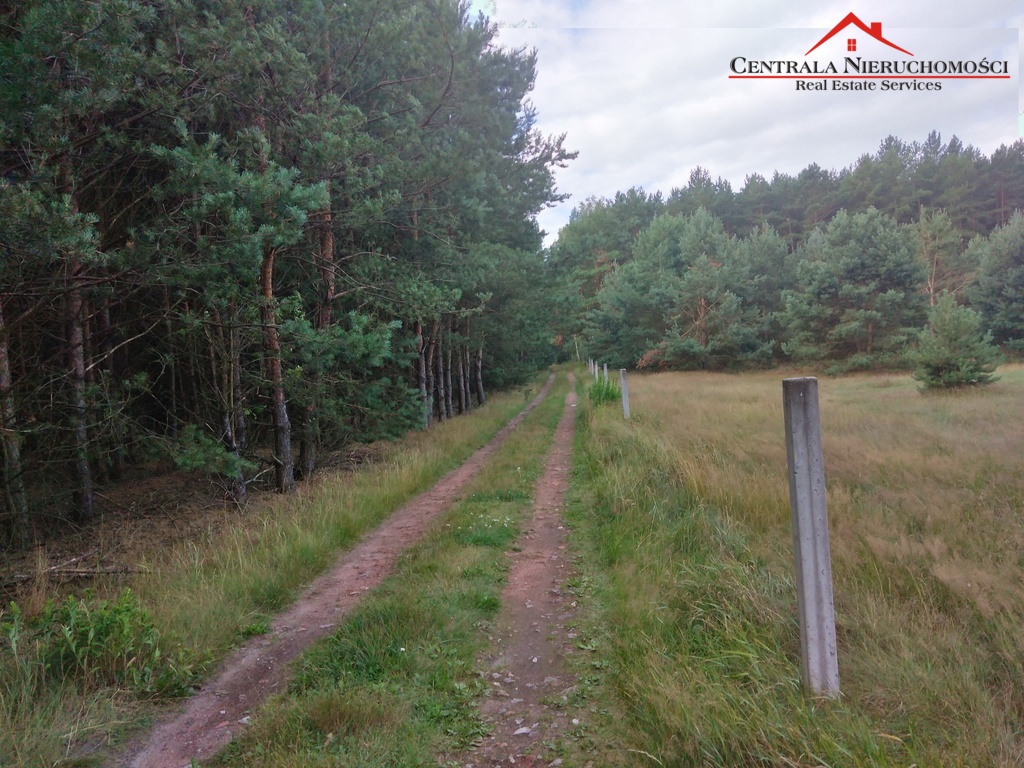 3 Działki w lesie Cegielnik