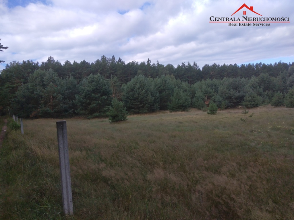 3 Działki w lesie Cegielnik