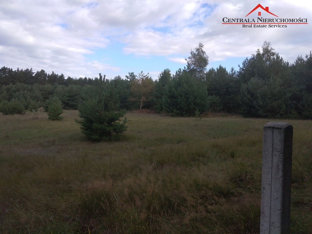 3 Działki w lesie Cegielnik