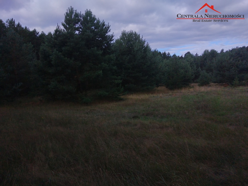 3 Działki w lesie Cegielnik