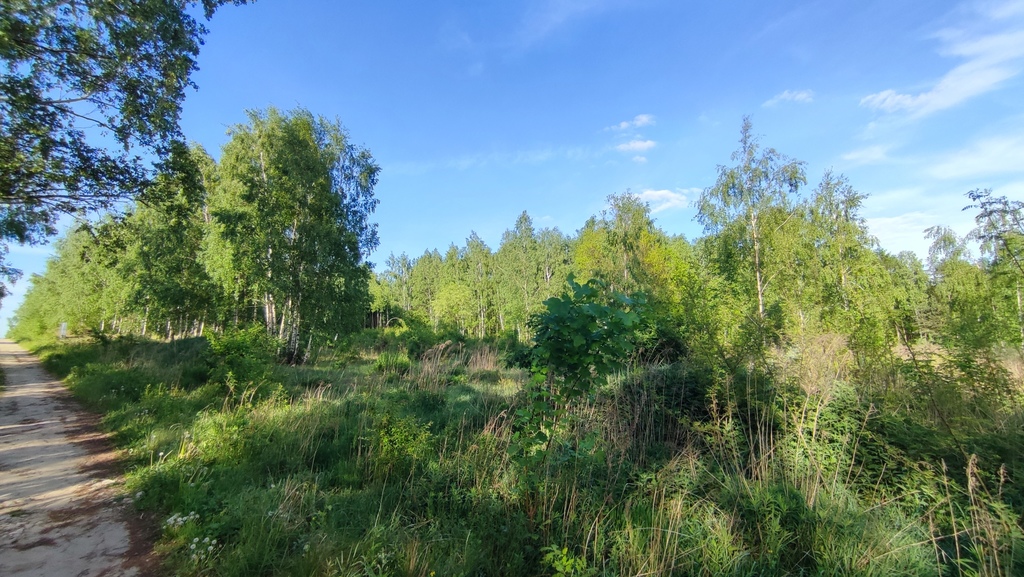 Nowe Łagiewniki, działka blisko Łodzi