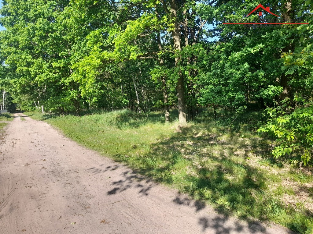 Ostatnie działki w środku lasu w Zamku Bierzgł.