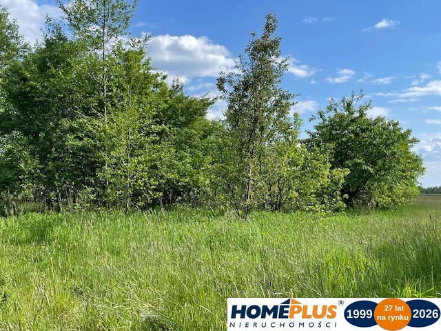 Siedlisko 4,3 ha 30 km od Warszawy 0% prowizji