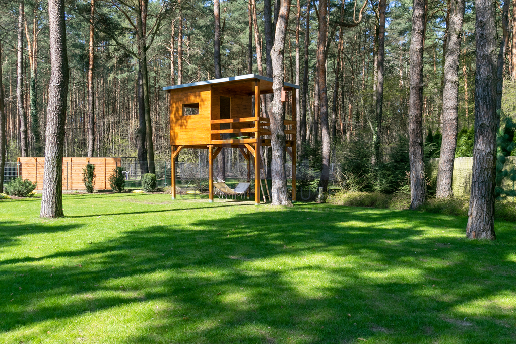 Dom w otoczeniu lasu - miejsce na fitnes/kino/spa