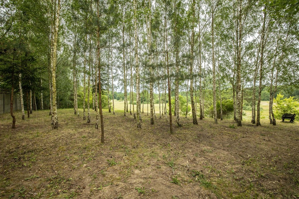 Atrakcyjna budowlana działka w Głownie