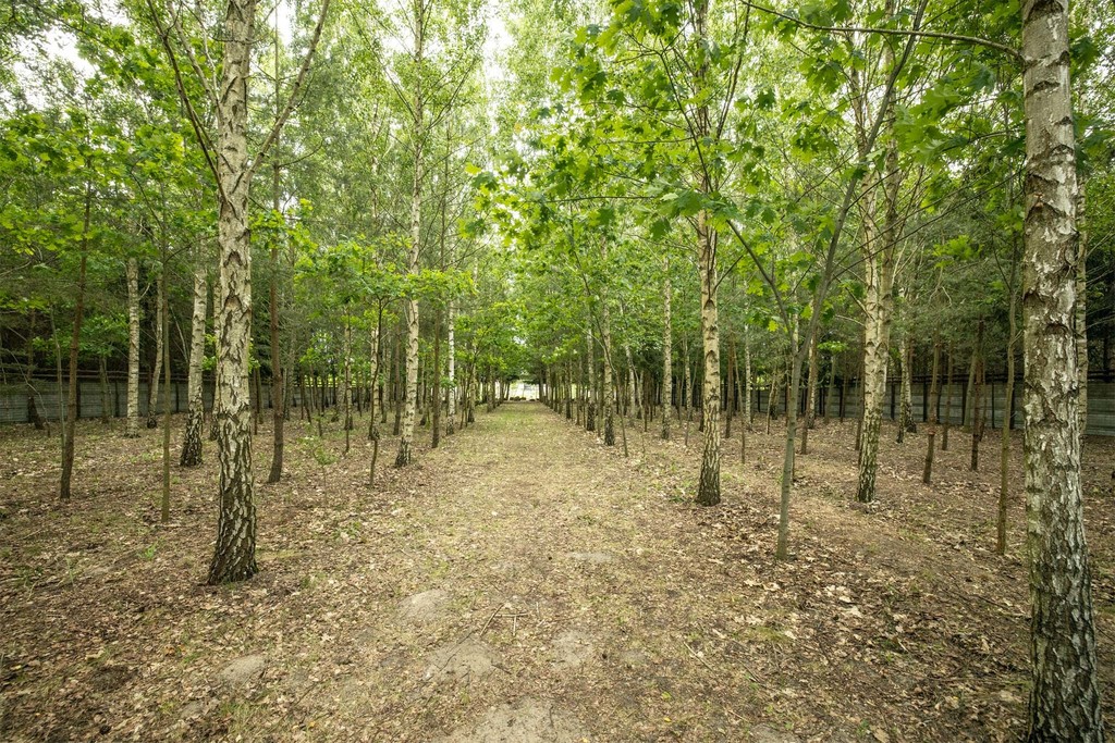 Atrakcyjna budowlana działka w Głownie