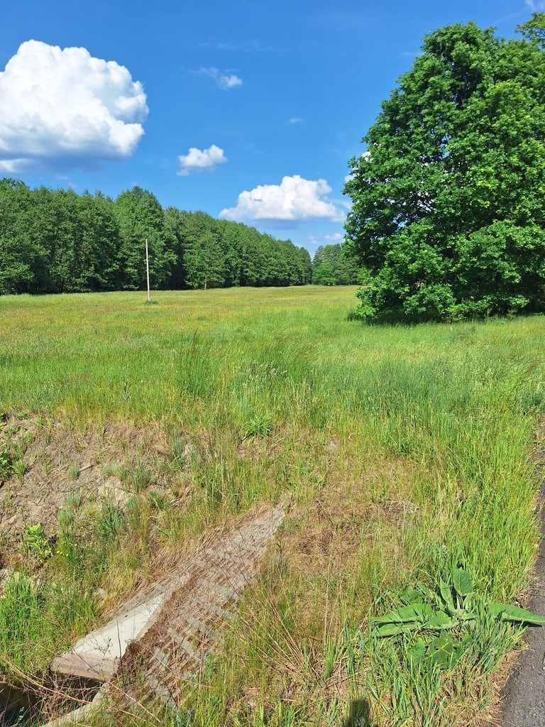 Działka Tanowo,plan-usługi,3233m2,łączna-1.74 ha.