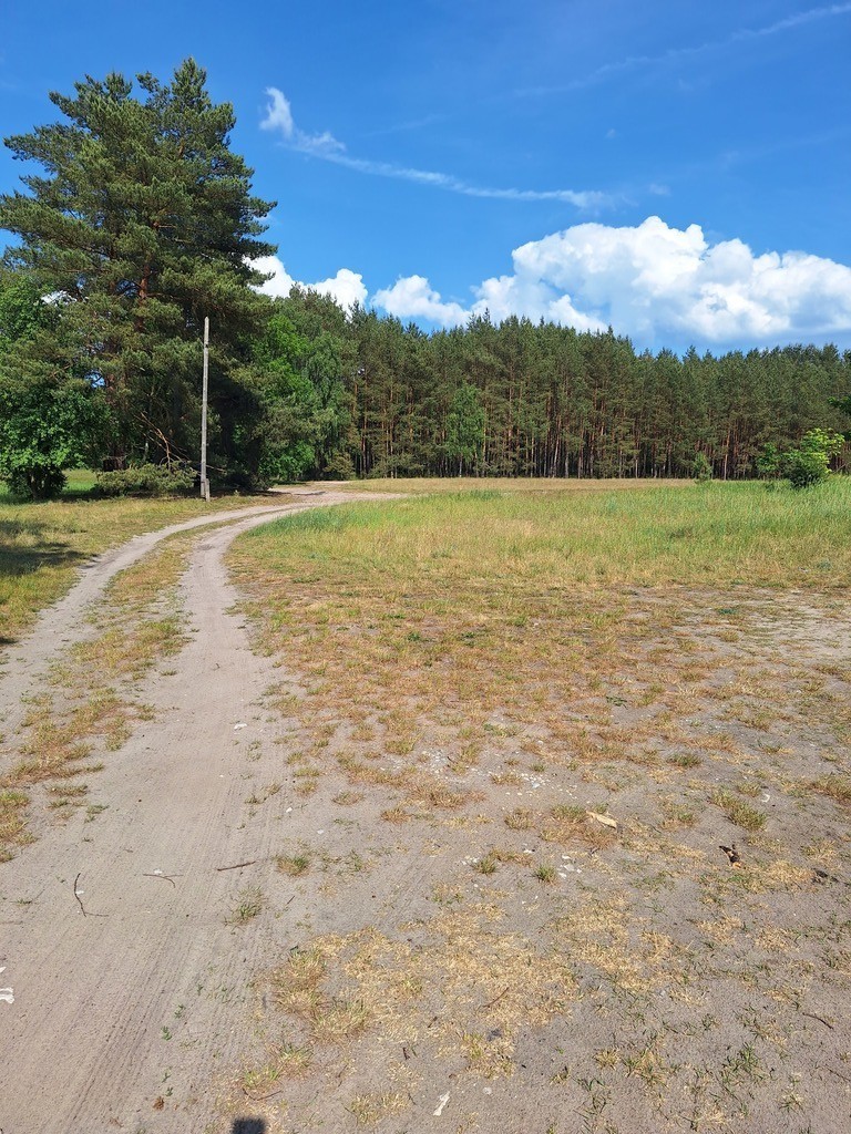 Działka Tanowo,plan-usługi,3233m2,łączna-1.74 ha.