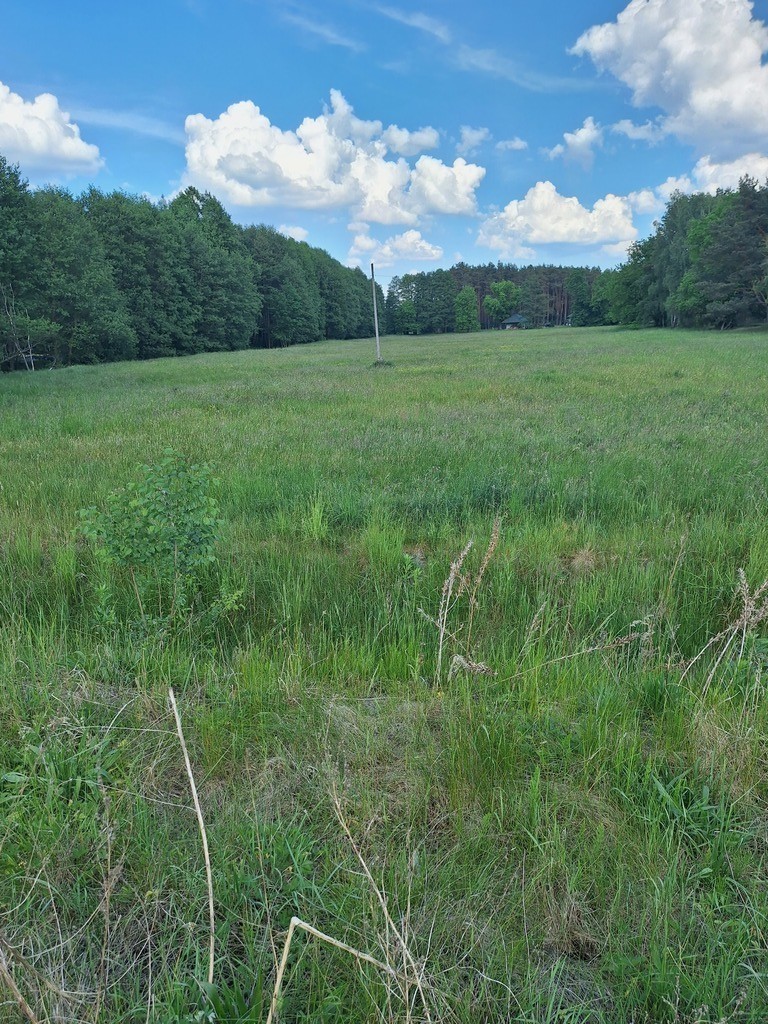 Działka Tanowo,plan-usługi,3233m2,łączna-1.74 ha.