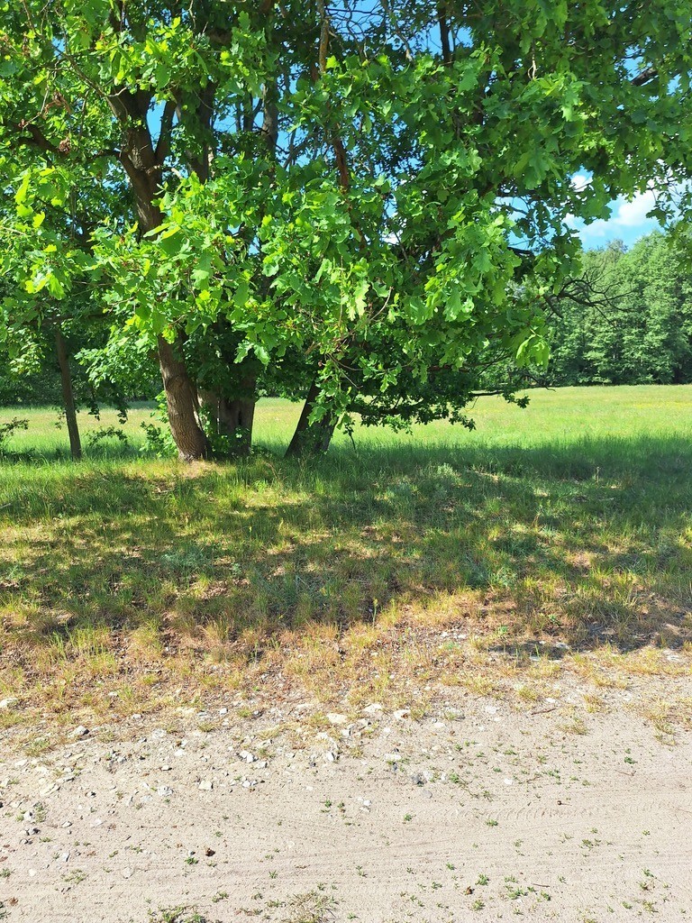 Działka Tanowo,plan-usługi,3233m2,łączna-1.74 ha.