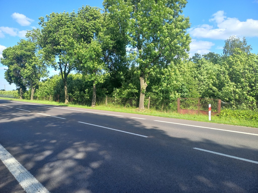 Działka przemysłowa w Głownie, województwo łódzkie